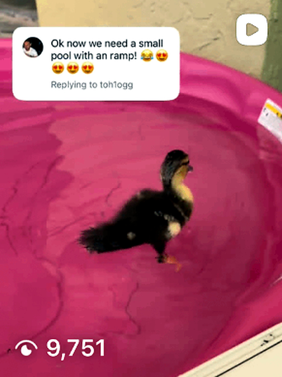 Small pool, with a ramp πΈ