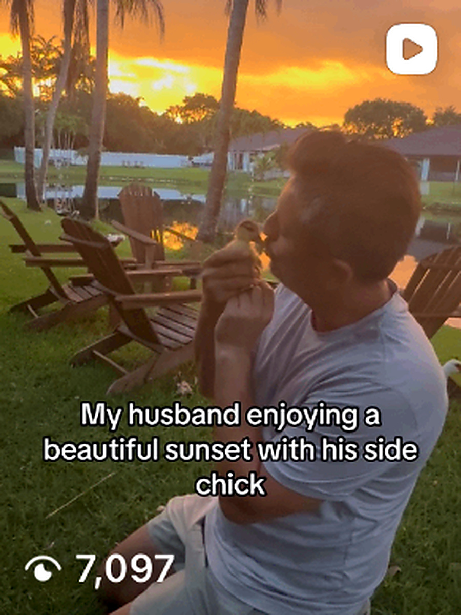 Sunset with his side chick π¦